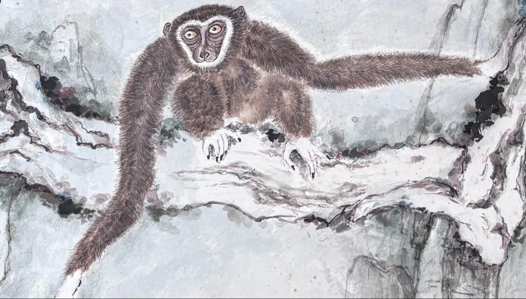 水墨画　深山猿啼 謝陽画　横長　中国　絵画　猿　掛軸　箱付　張大千大風堂