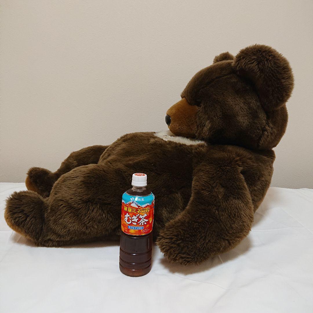 サンアンドスター ツキノワグマ