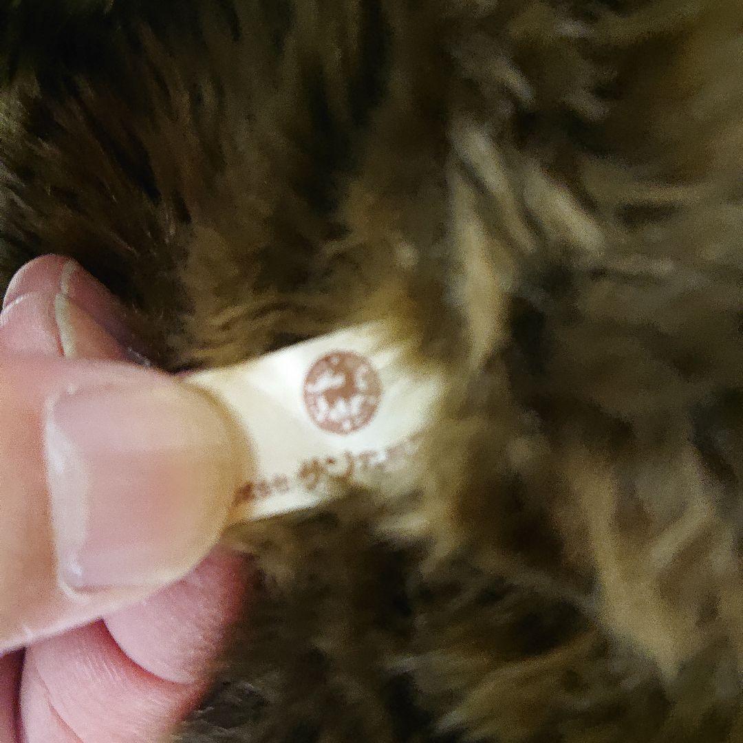 サンアンドスター ツキノワグマ