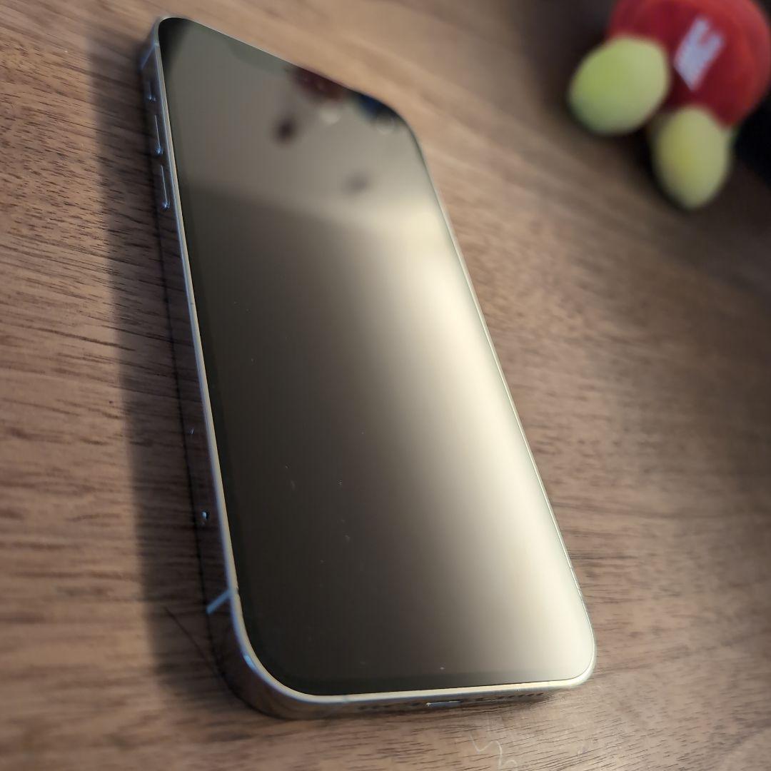 Apple iPhone 12 Pro シルバー 256GB