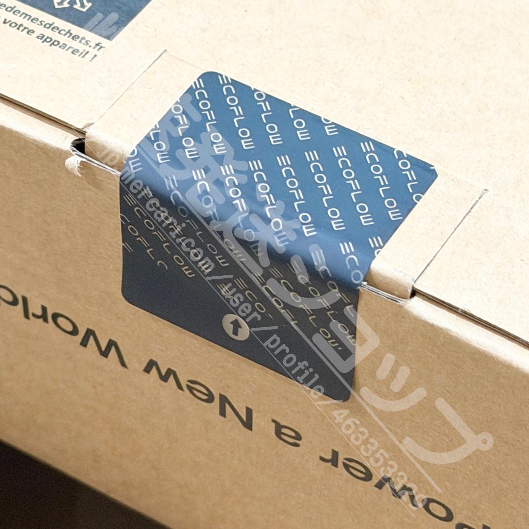 R*i様 EcoFlow Solar Generator  3 ソーラ