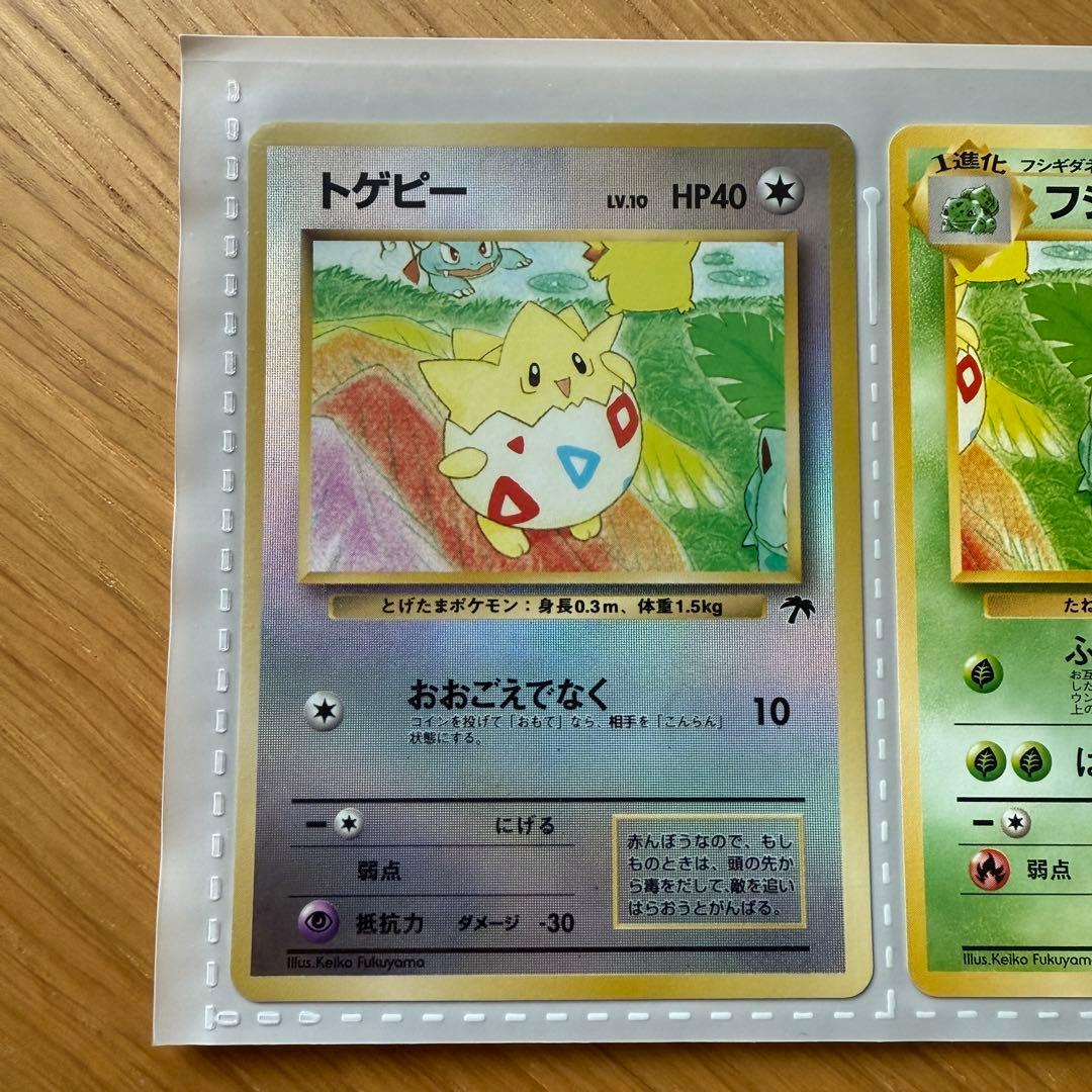 旧裏 サザンアイランド レインボーアイランド ポケモンカードゲーム