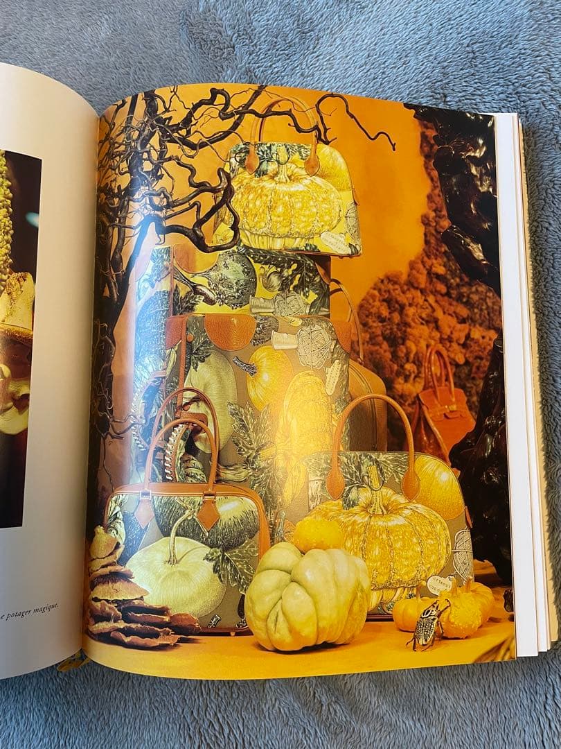 Les Vitrines Hermes エルメス 作品集 1999年初版