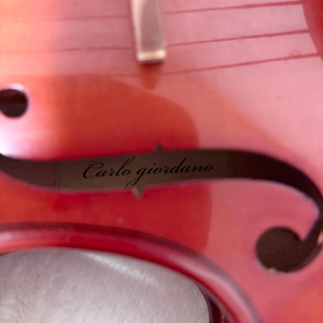 カルロジョルダーノ VS-14/4 フルサイズ　 バイオリン ヴァイオリン