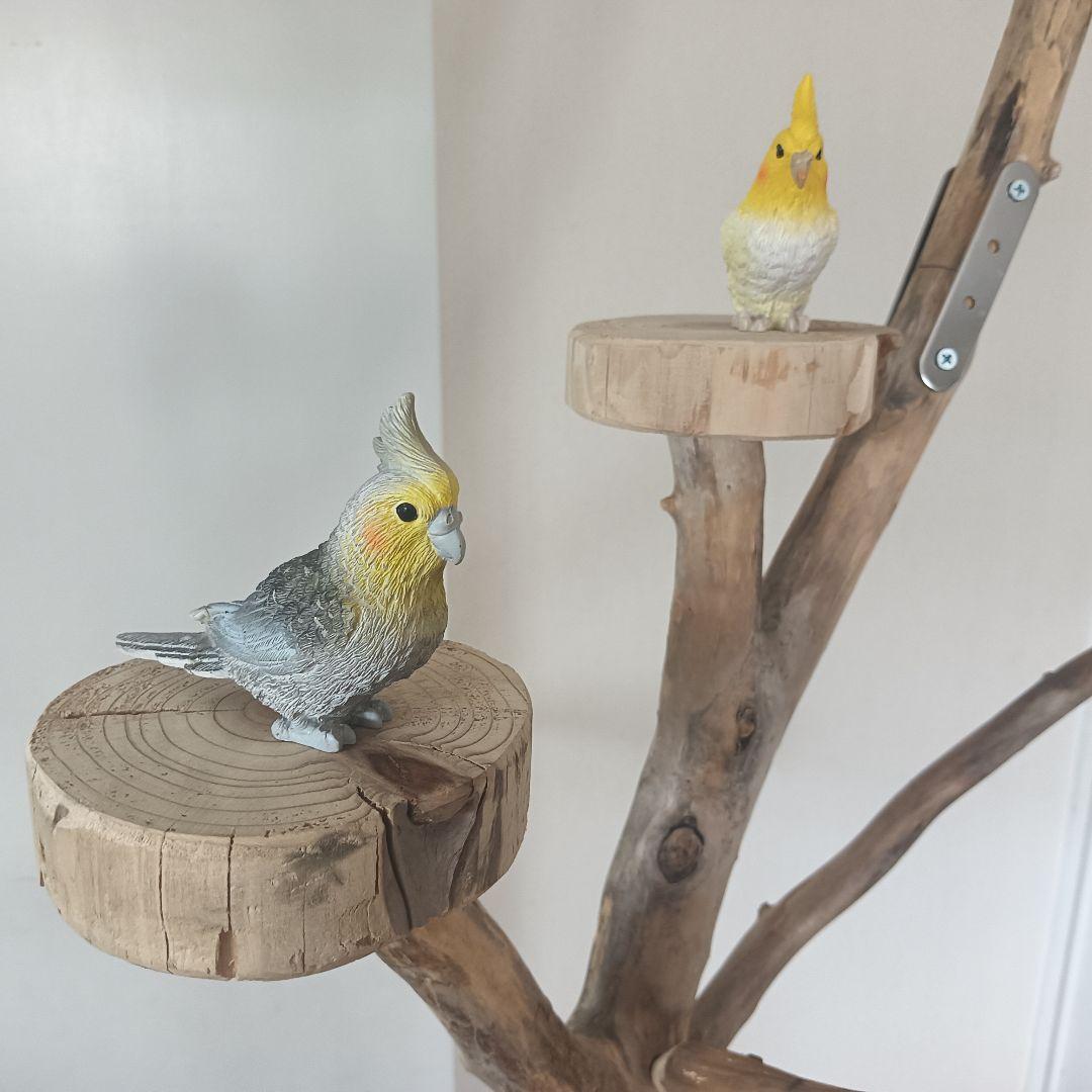 バードアスレチックジム大型 ② 天然木 自然木 流木 インコ おもちゃ