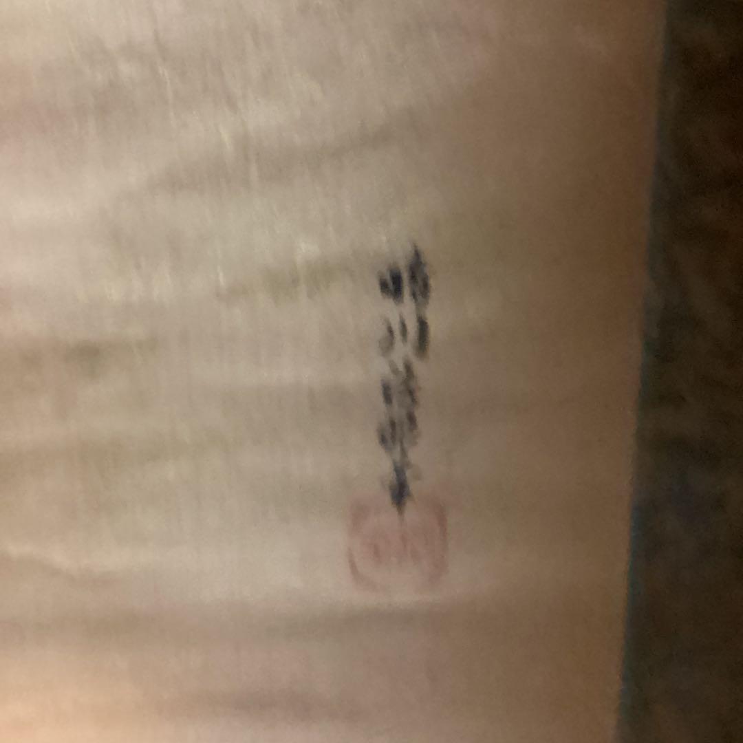 狩野養信筆　尾形袍祝花鳥画写　絹本掛軸一幅　肉筆画　晴川法眼自題箱極模写NO43