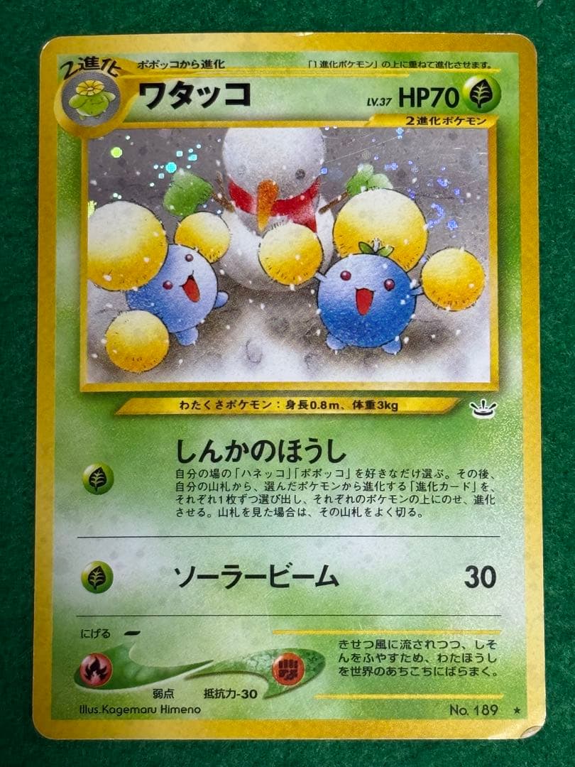 ポケモンカード　旧裏　12枚セット