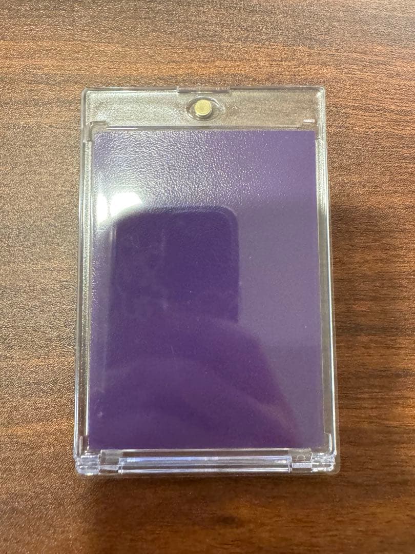 リーリエの決心　sar