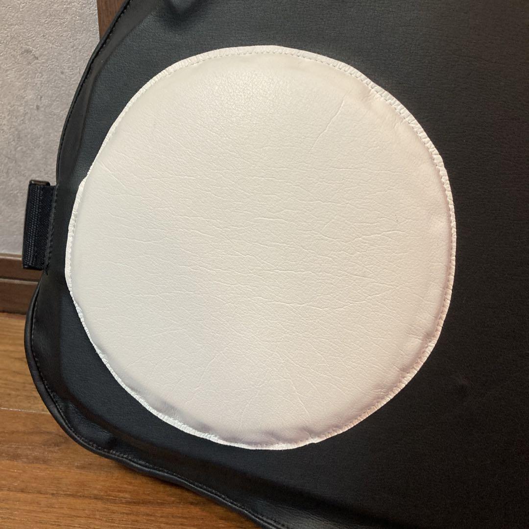 新品✨️ 希少 ISAMI(イサミ) ボクサープロテクター　ボディプロテクター