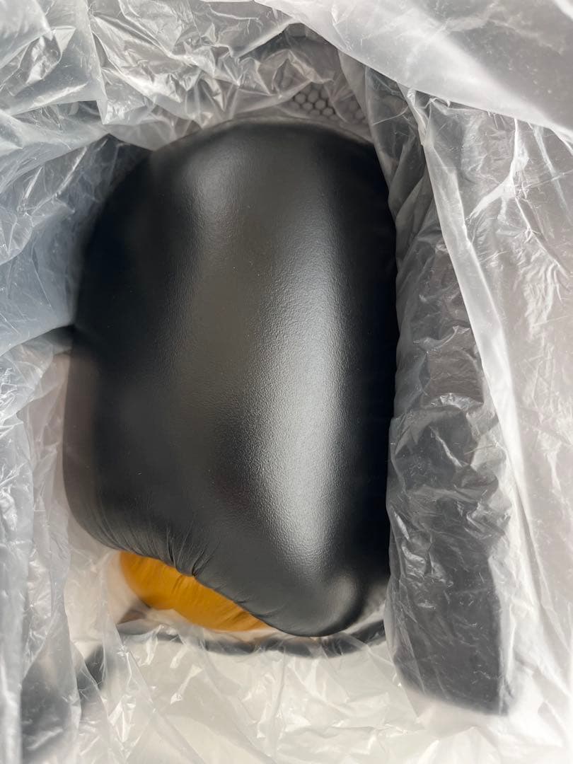 TENSHIN×イサミ ボクシンググローブ 新品未使用