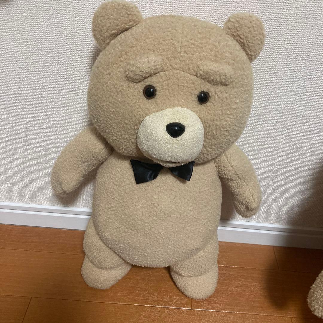 テッドぬいぐるみ(大)6体セット