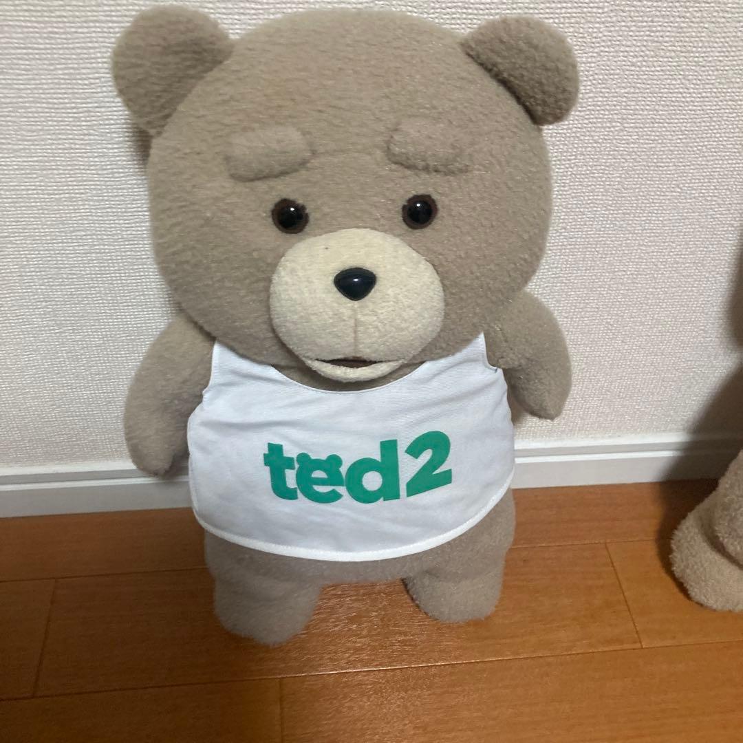 テッドぬいぐるみ(大)6体セット