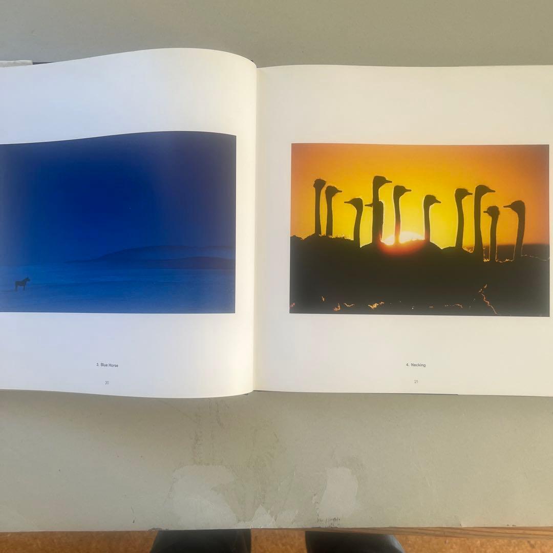 色彩の魔術師　ピートターナー写真集