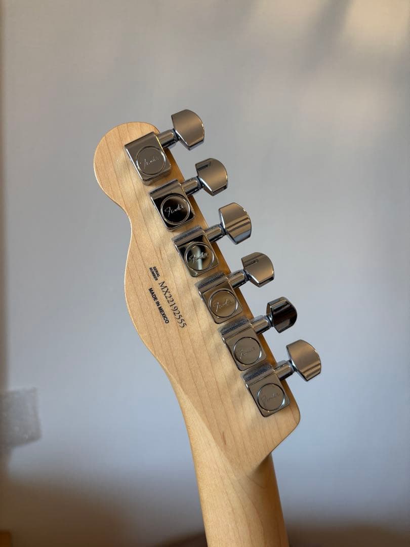 ねこ Fender Player Telecaster テレキャスター