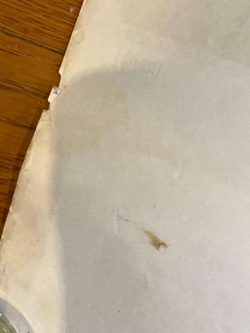 超希少【日本版劇場使用B2ポスター】ある愛の詩 Love Story