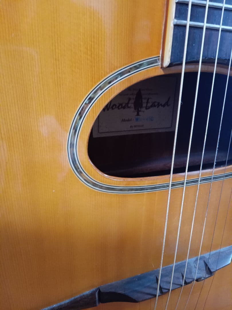 マカフェリ　ギター