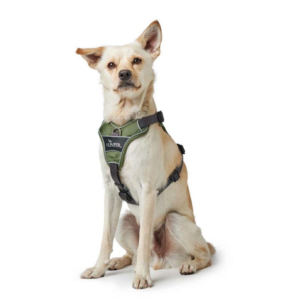 HUNTER ハーネス 小型犬 DIVO XS