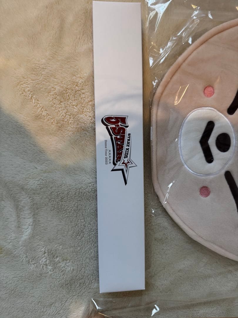 stray kids スキズ 5-STAR I.N アイエン　うちわ　ネックレス