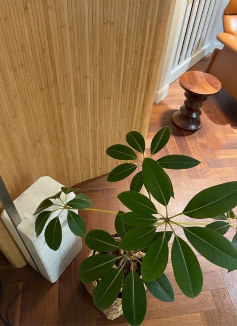 木製　ヴィンテージ　パーテーション