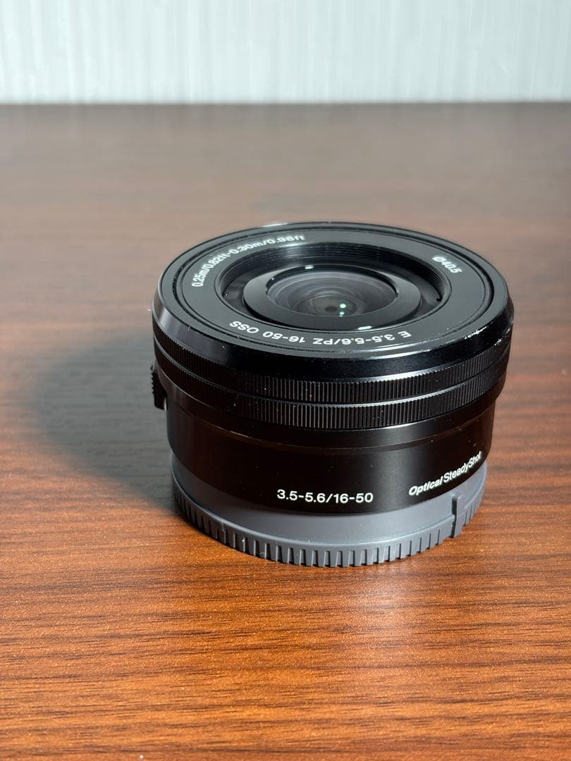 【おまけ付】SONY α6100 標準ズームレンズセット SDカード充電器セット