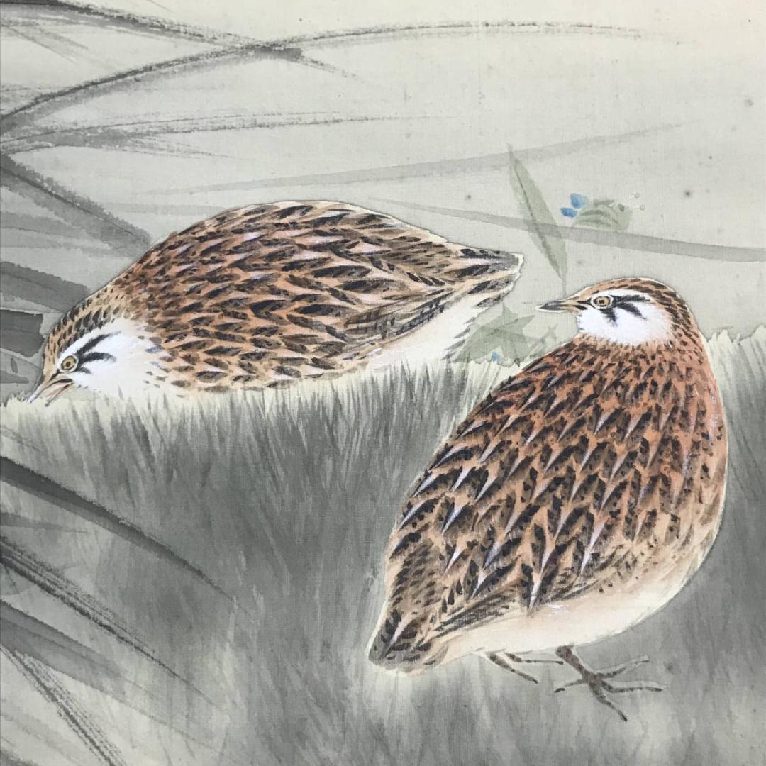 【真作】神阪春圃/ウズラ図/鶉図/花鳥図/掛軸/名家伝来/AD-82