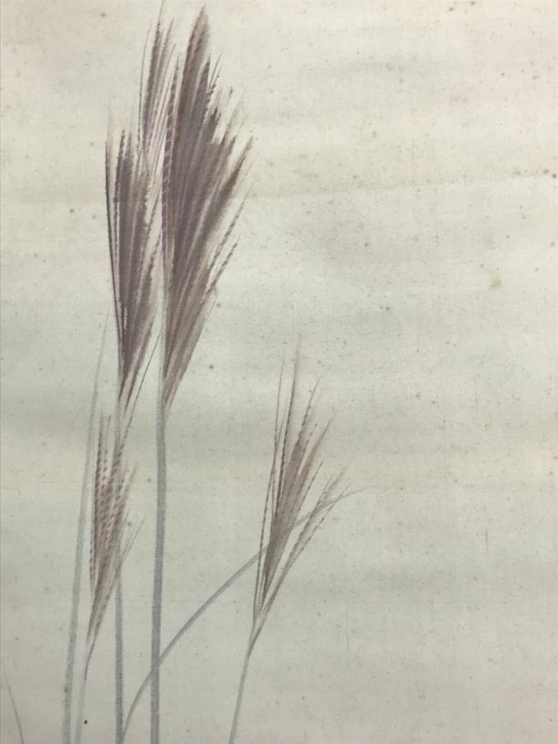 【真作】神阪春圃/ウズラ図/鶉図/花鳥図/掛軸/名家伝来/AD-82