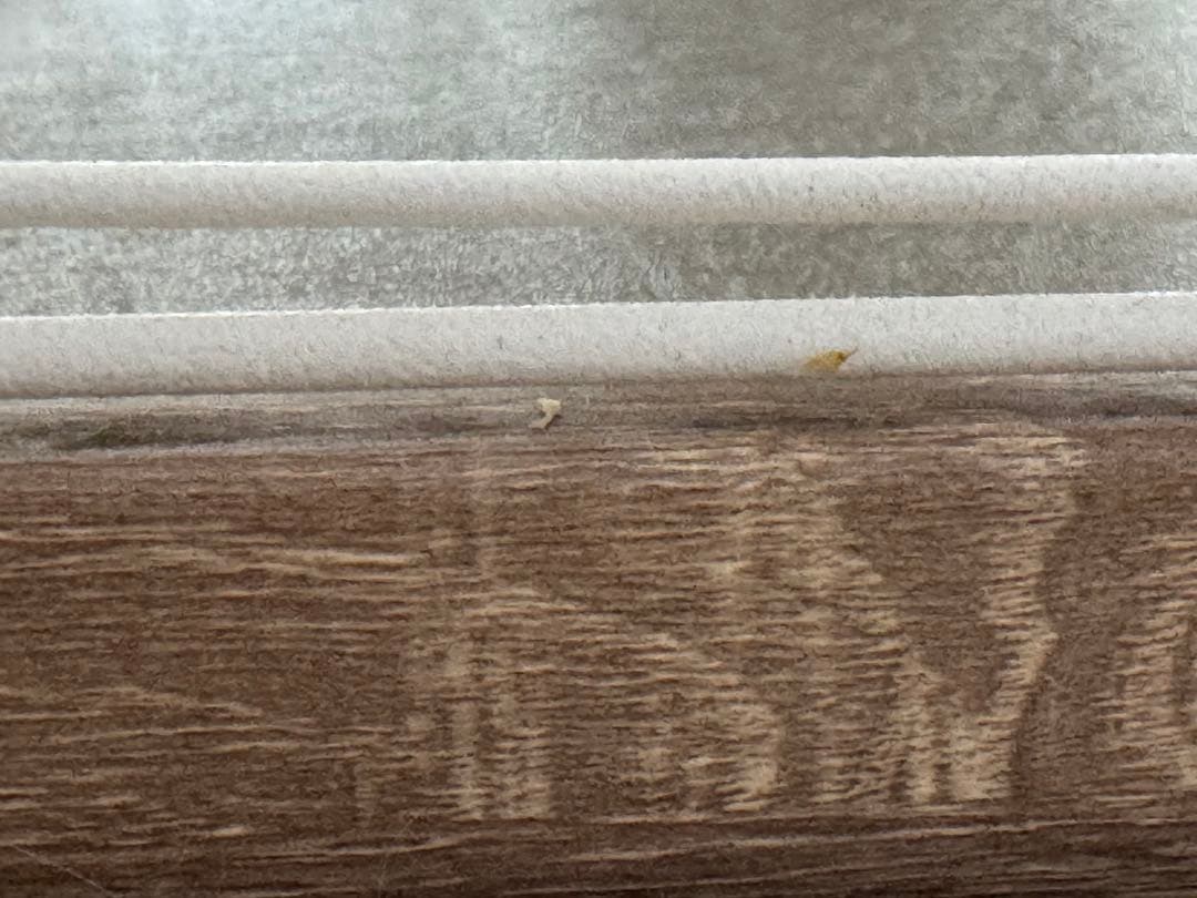 【屋根付きセット】超小型〜中型用 ウッディサークル 犬　手渡し5,000円