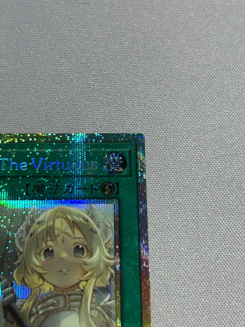 the fallen & the virtuous プリシク