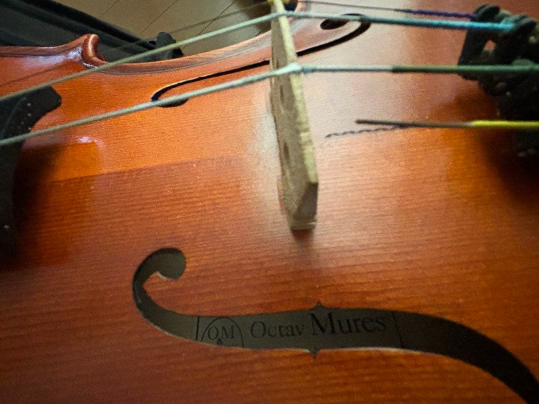 ヴァイオリンとケースセット