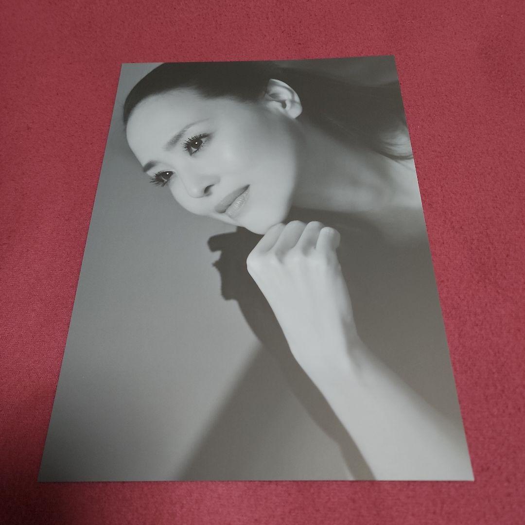 【SEIKO MATSUDA PHOTO】