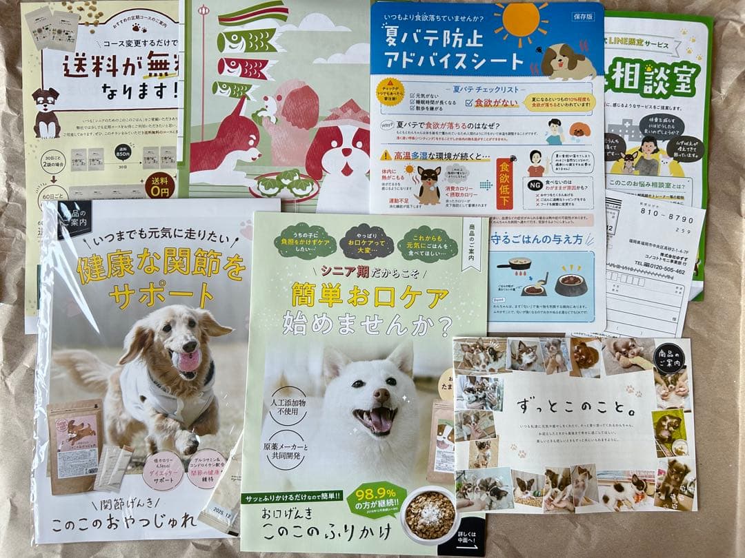 新品　シニアのためのこのこのごはん ドライフード1kg×2袋セット