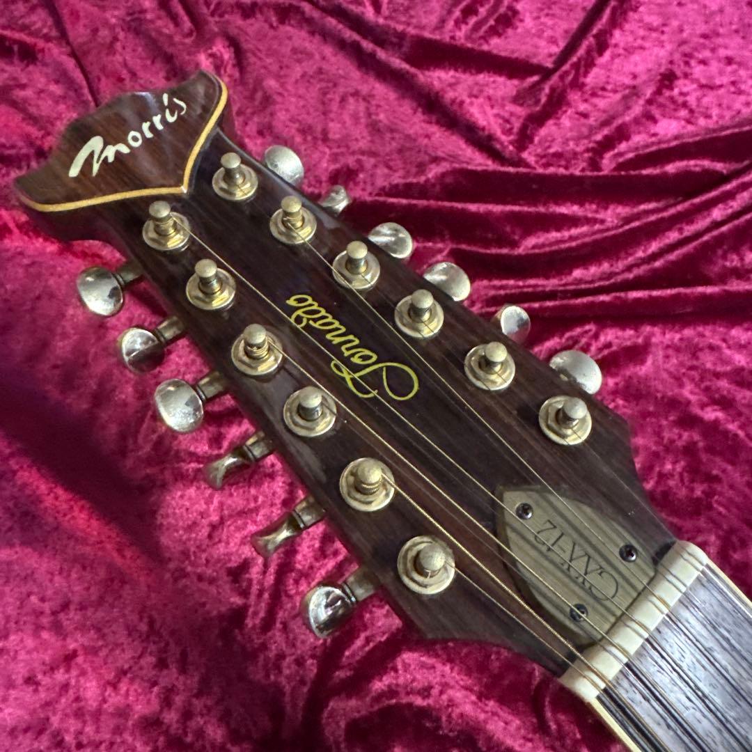メンテ済 Tornado by Morris GXX-12 12弦エレアコギター