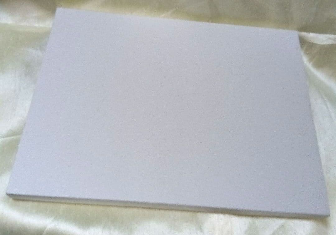 最終値下げ❗未使用✨銀製品/シルバーコーティングローズ 小判トレー 0