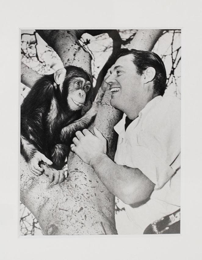 写真 ジョニー・ワイズミュラー　ターザン　ヴィンテージフォト