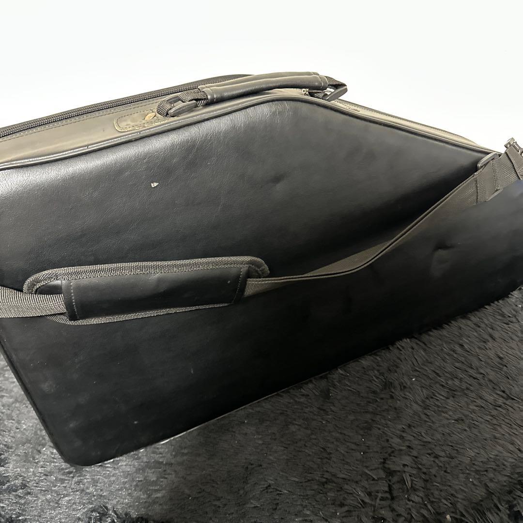 TOKAI Chromaharp クロマハープ 弦楽器 ケース付属