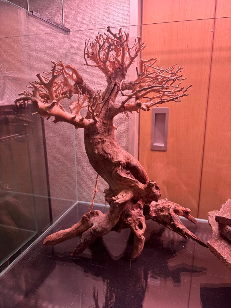 ADA キューブガーデン 水槽 90cm 盆栽流木 輝板石 龍王石 温度計 溶岩