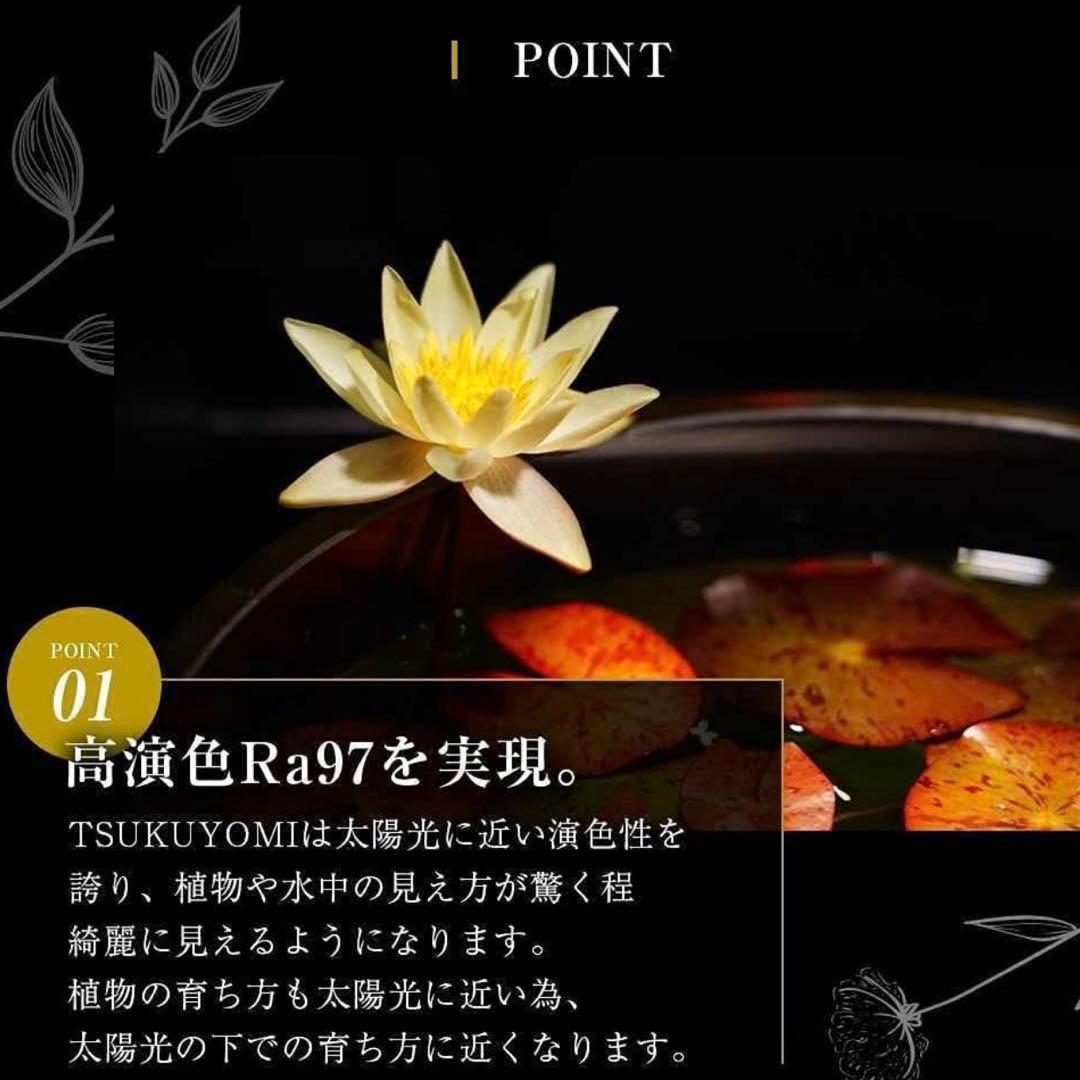 barrel TSUKUYOMI (ツクヨミ) LED 20W+ソケット付き