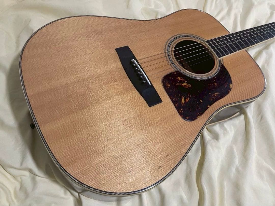 Jagard JD-25 Gallagher 寺田楽器製