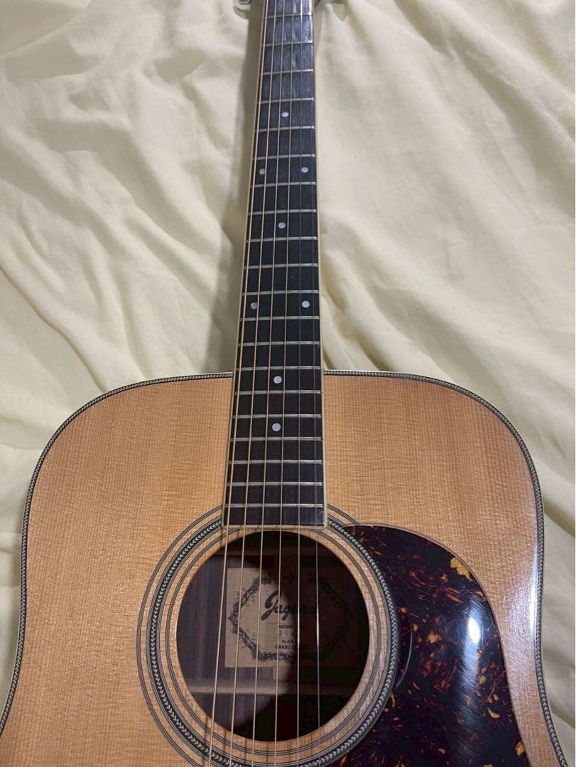 Jagard JD-25 Gallagher 寺田楽器製