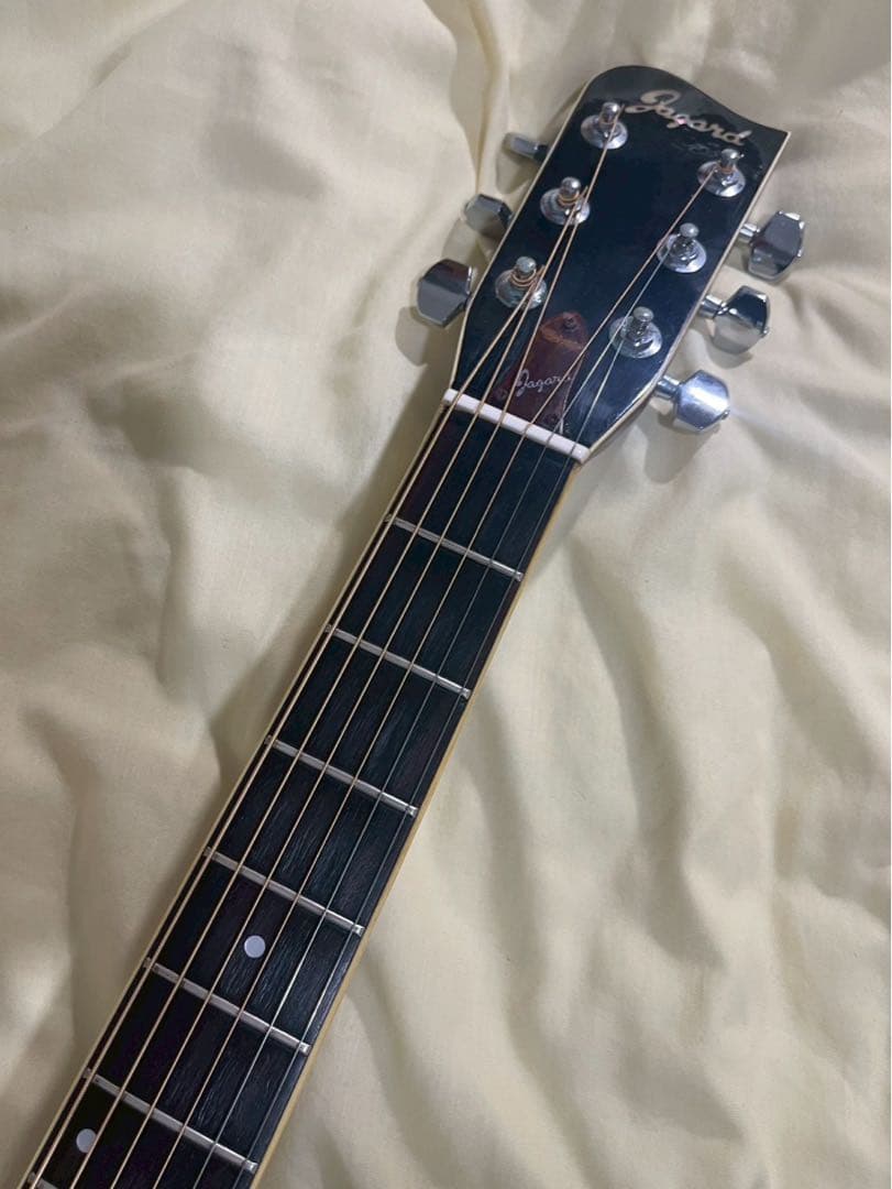 Jagard JD-25 Gallagher 寺田楽器製