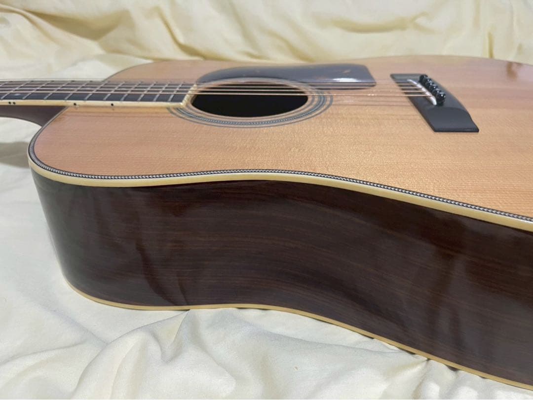 Jagard JD-25 Gallagher 寺田楽器製