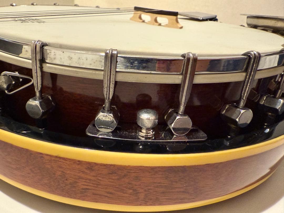 Aria アリア 5弦 バンジョー ハードケース付