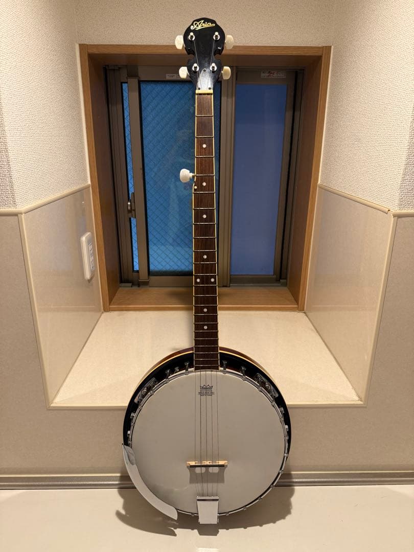 Aria アリア 5弦 バンジョー ハードケース付