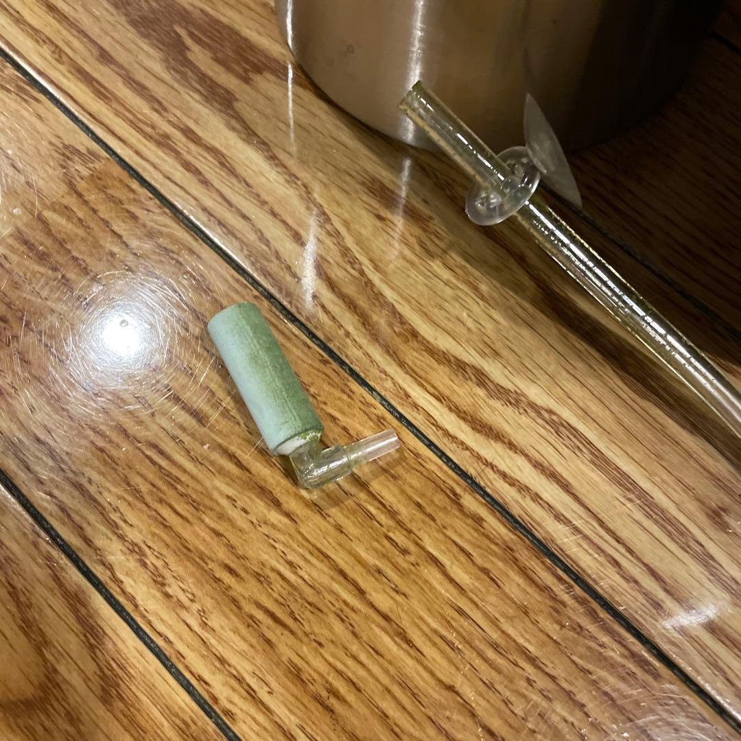 （祝日限定値下）GEX BIO CO2システム 60L