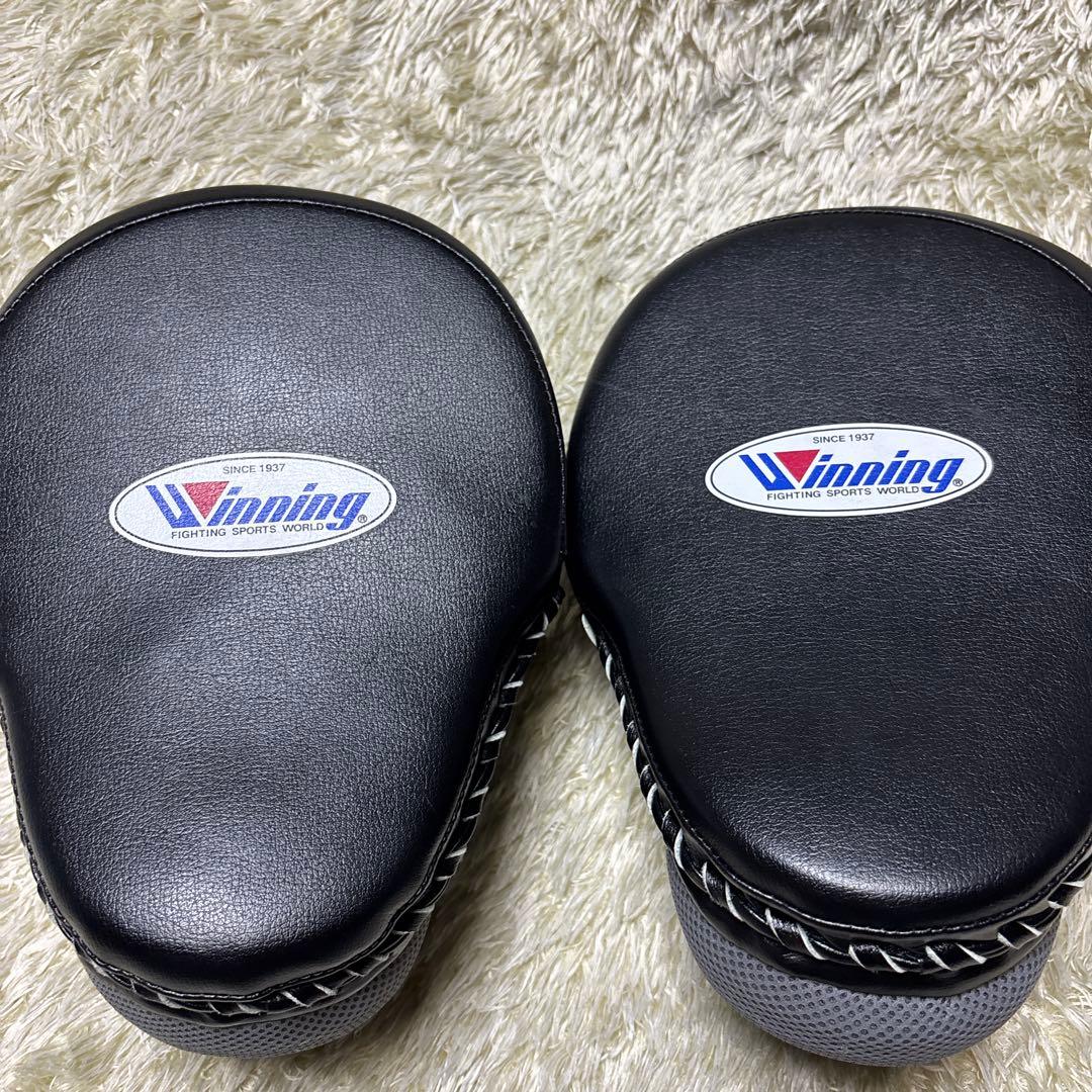 Winning ウイニング CM-65 パンチングミット ハイグレードタイプ