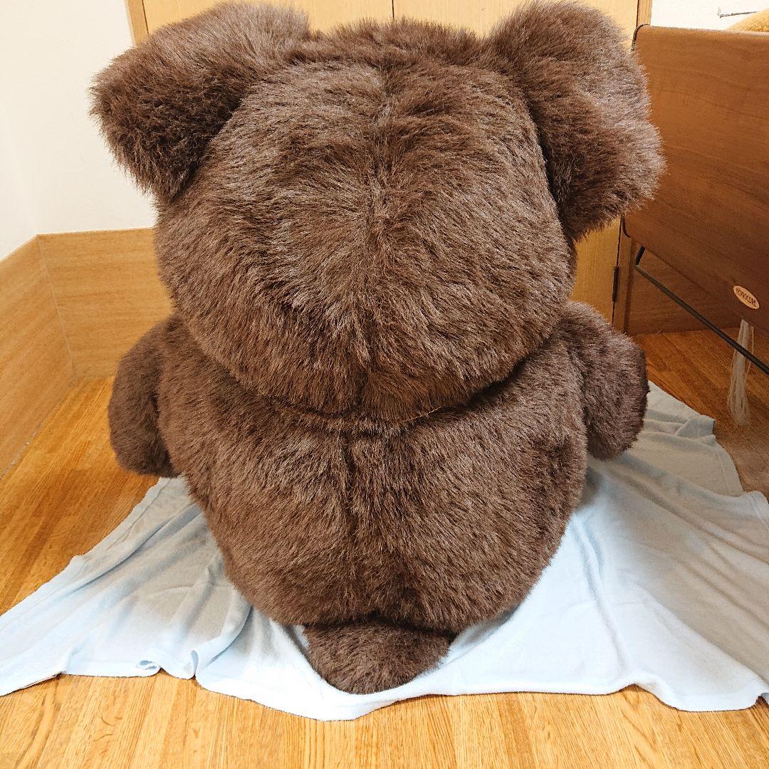 サンアンドスター ツキノワグマ