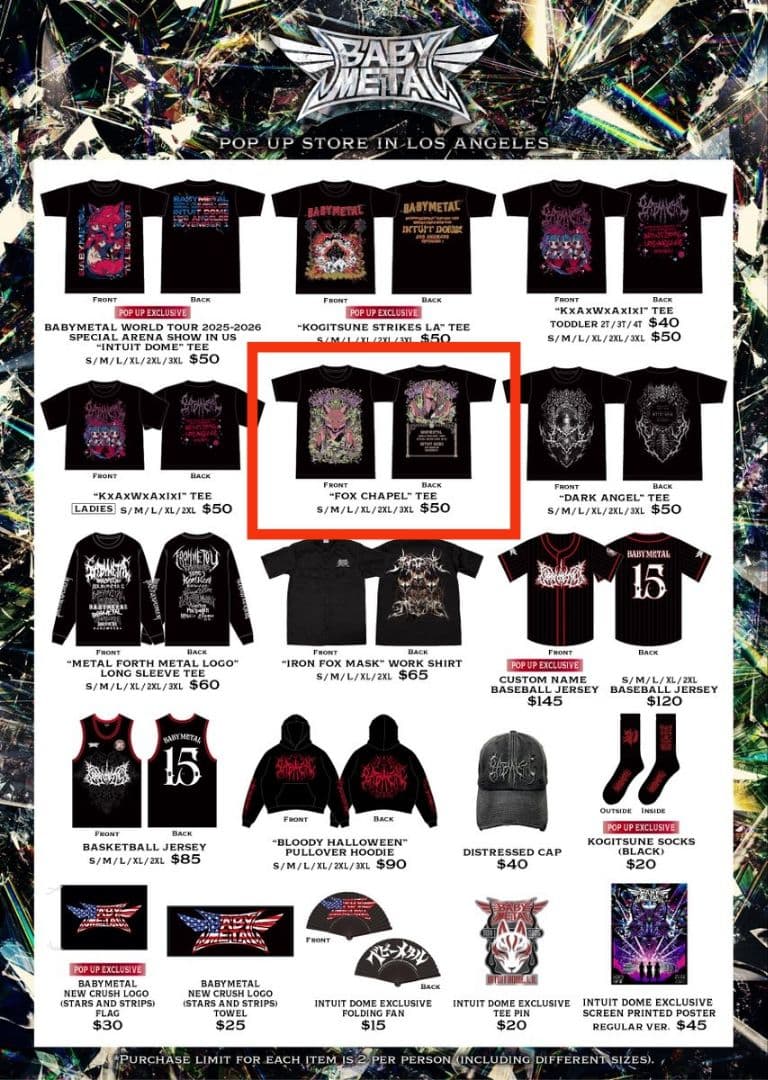 新品 Mサイズ INTUIT DOME 限定 Tシャツ BABYL US