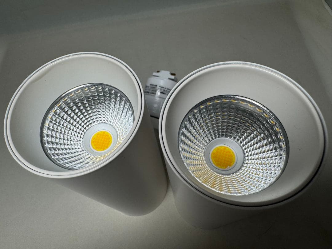 エジソンスマート スポットライト ダクトレール用 2本 DST-SL01WH