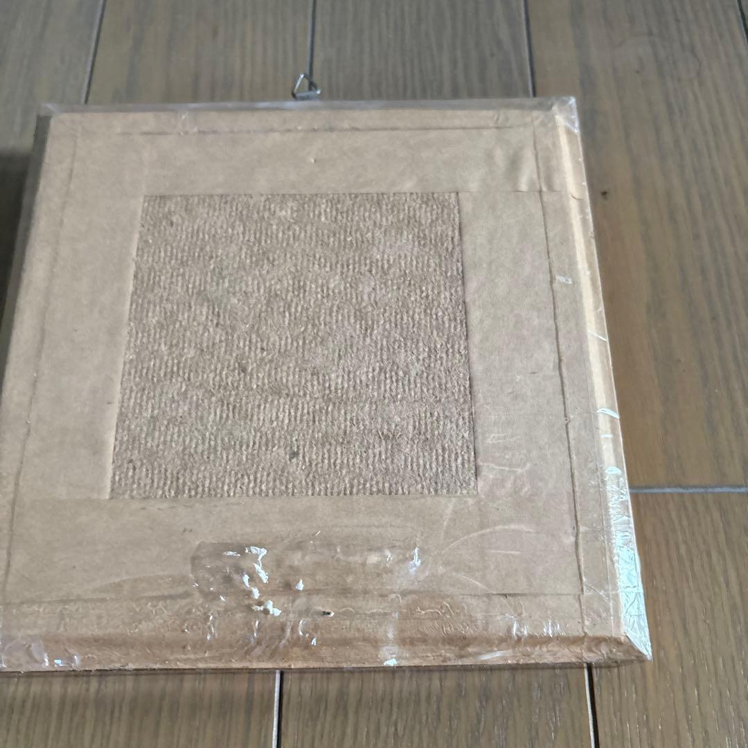 Morpho deidamia 蝶標本 木製フレーム付き