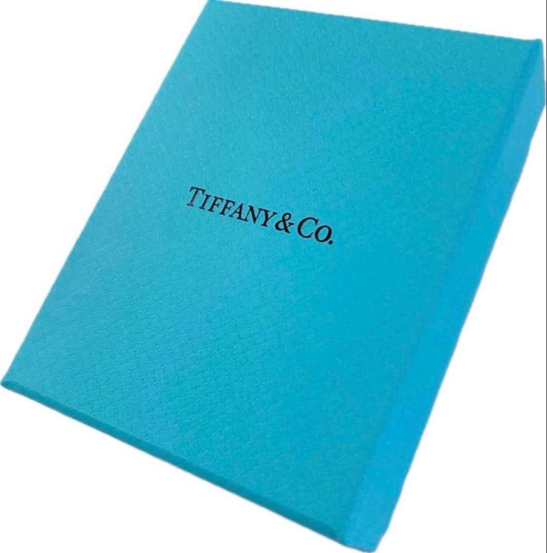 現行品Tiffanyティファニー　空箱巾着取扱説明書12セット